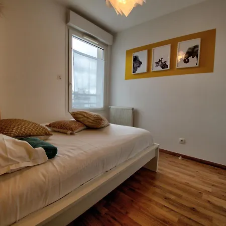 Appartement ☆ L'exotique ☆ 2 ☆ Netflix ☆ Metz