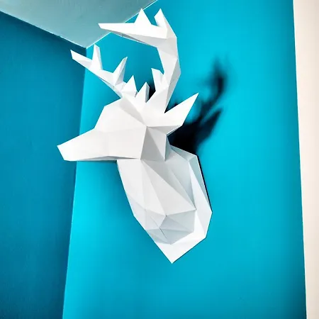 ☆ L'exotique ☆ 2 ☆ Netflix ☆ Appartement