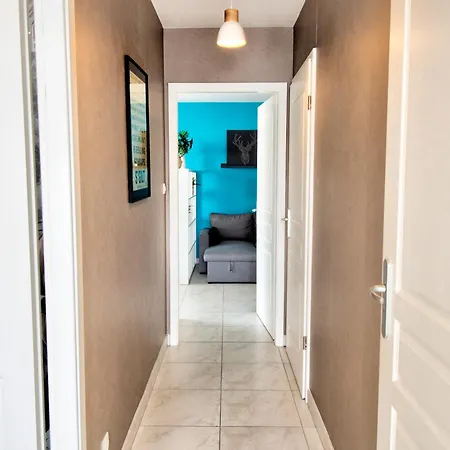 ☆ L'exotique ☆ 2 ☆ Netflix ☆ * Metz