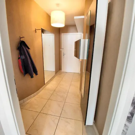 ☆ L'exotique ☆ 2 ☆ Netflix ☆ Metz