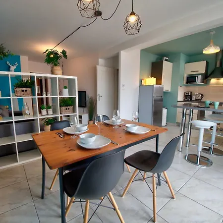 ☆ L'exotique ☆ 2 ☆ Netflix ☆ * Metz