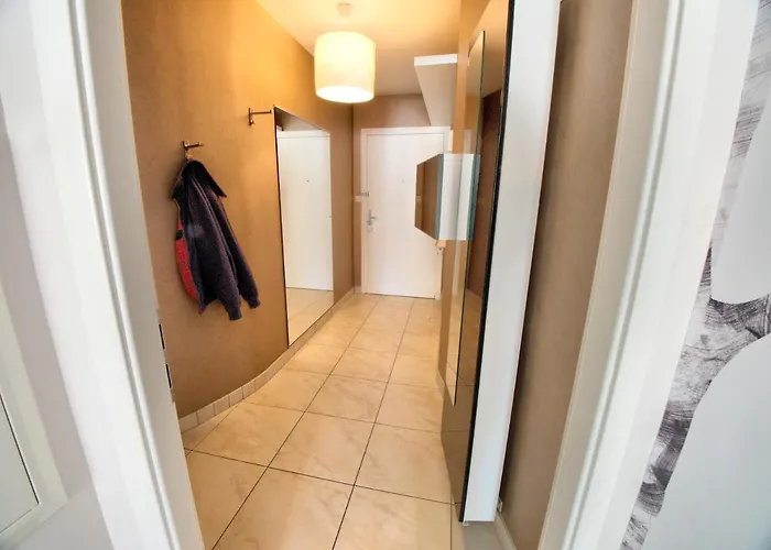 ☆ L'exotique ☆ 2 ☆ Netflix ☆ Mety